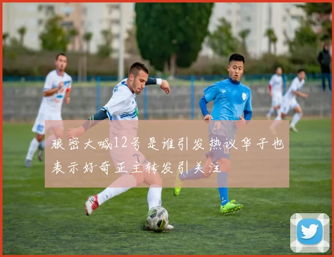 狼密大喊12号是谁引发热议华子也表示好奇正主转发引关注
