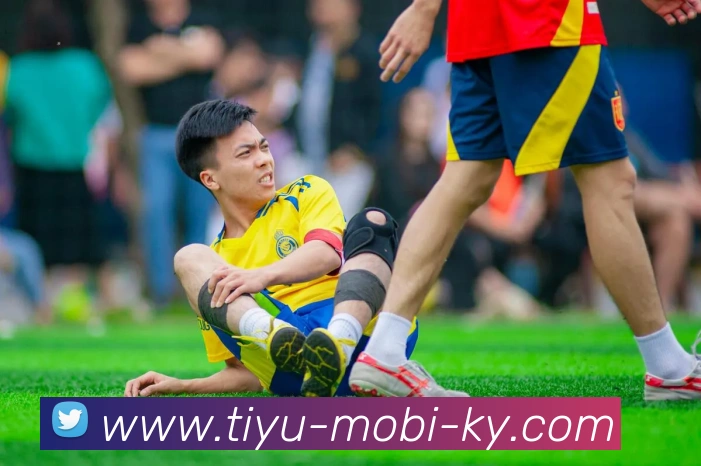 开云体育发展历程